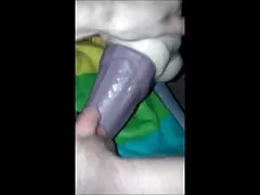 গাড়ী লিঙ্গের