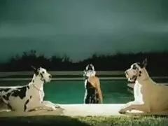 মেয়ে সমকামী, সুন্দরী বাংলাচুদাচুদি বই বালিকা